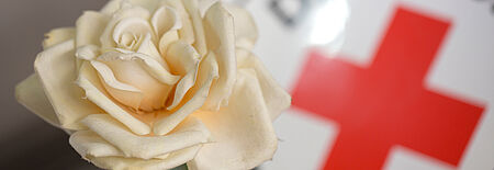 Auf der linken Seite befindet sich eine weiße Rose und im Hintergrund rechts das rote Kreuz.